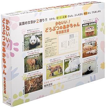 紙芝居　どうぶつなるほど世界一　6冊　教育画劇　動物 紙芝居 どうぶつなるほど世界一 6冊 教育画劇 動物 本